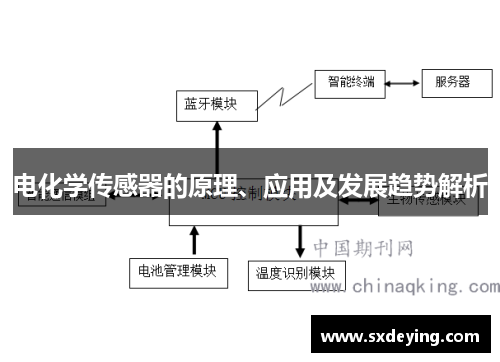 电化学传感器的原理、应用及发展趋势解析