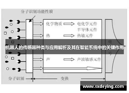 机器人的传感器种类与应用解析及其在智能系统中的关键作用